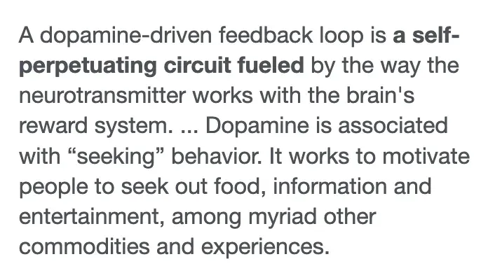 What is the dopamine loop?