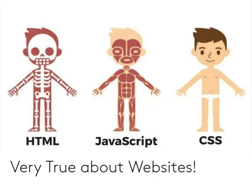 Meme of three figures: HTML as a skeleton, JavaScript as muscles, CSS as a dressed-up boy