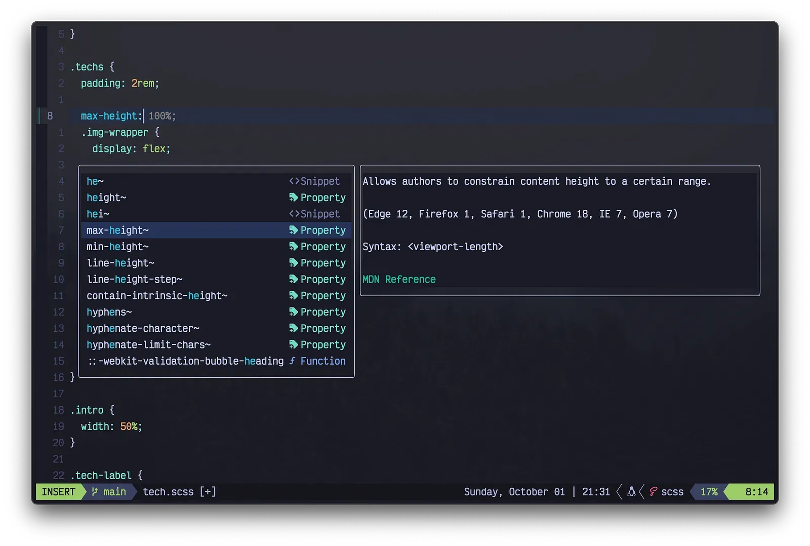 Neovim CSS completion menu with an MDN documentation popup