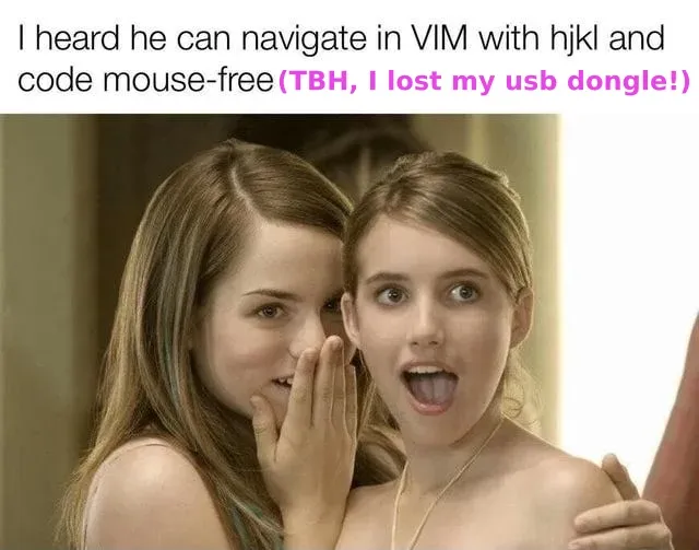 Meme: one girl whispering to another “I heard he can navigate in VIM with hjkl and code mouse-free (TBH, I lost my usb dongle!)”